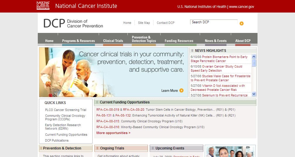 DCP Website 2008 Redesign